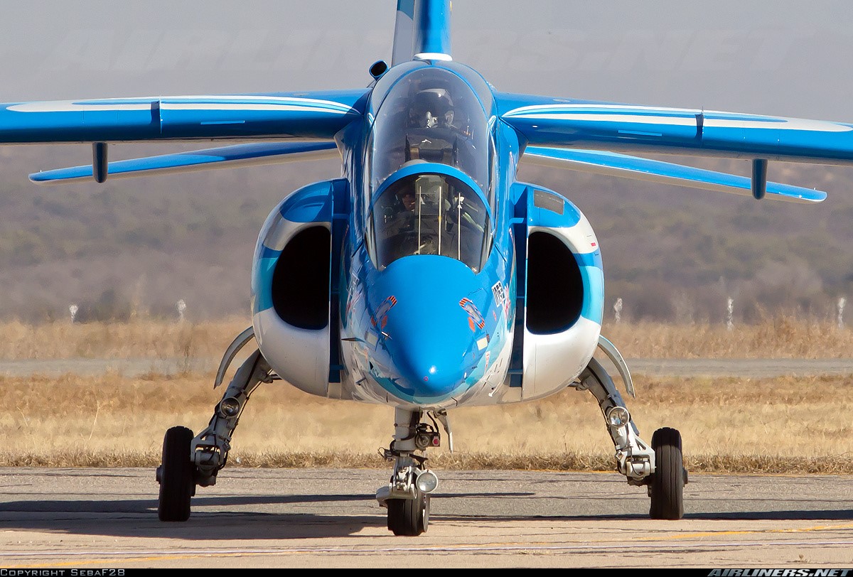 Argentinean Air Force Hercules TC-69